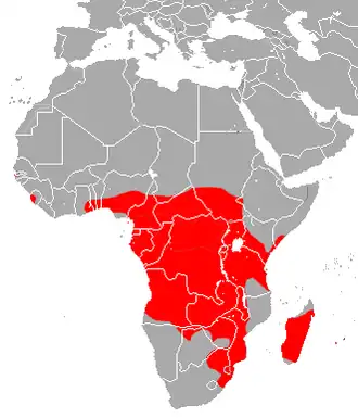 Description de l'image Mauritian Tomb Bat area.png.