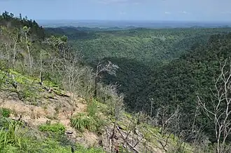 Monts Maya.