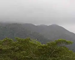 monts MayaPetén.