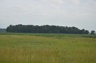 Sterling Township (Illinois)