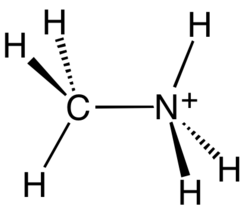 Image illustrative de l’article Méthylammonium