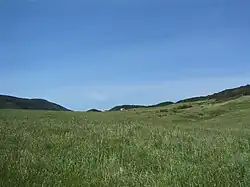 Prairie