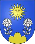 Blason de Medeglia