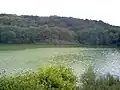 Lac de Virelles.