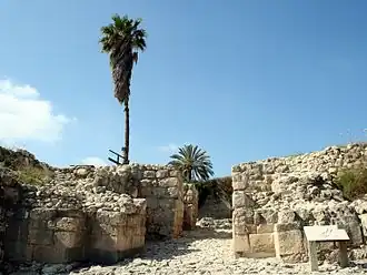 Image illustrative de l’article Megiddo