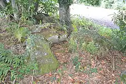 Image illustrative de l’article Dolmen du Perron