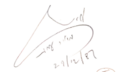 Signature de Meir Amitמאיר עמית