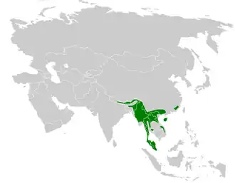 Description de l'image Melanochlora_sultanea_distribution_map.png.