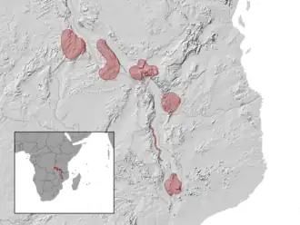 Description de l'image Melanoseps ater distribution.png.