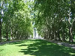 Jardins Carlton CBN.