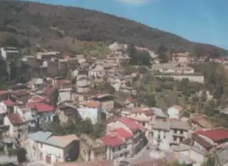 Melicuccà