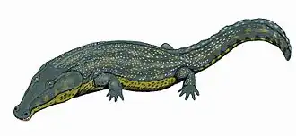 Melosaurus