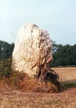 Vue d'un menhir de couleur presque blanche.