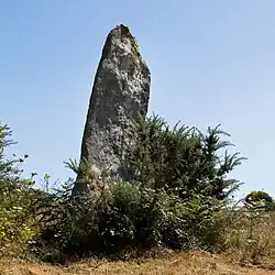 Image illustrative de l’article Menhir de Couinandré