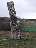 La Pierre-Percée, vue du sud-est
