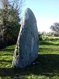 Vue de profil.