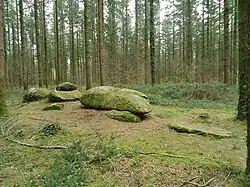 Menhir de Men Vraz.