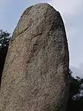 Détail de la face sud-est.