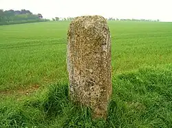 Le menhir.