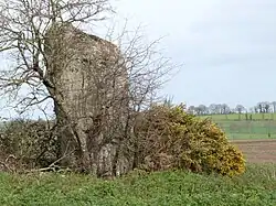 Image illustrative de l’article Menhirs de Saint-Mirel
