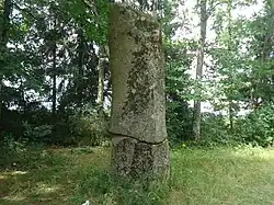 Menhir du Pic