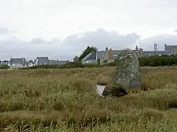 Le menhir de Lehan, dans son étang, Classé MH (1923).