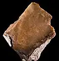 Ménilite (Opale Résinite) - Plateau de Merdogne, Puy-de-Dôme, France (9&nbsp;×&nbsp;6,8&nbsp;cm)