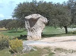 Image illustrative de l’article Rocha dos Namorados