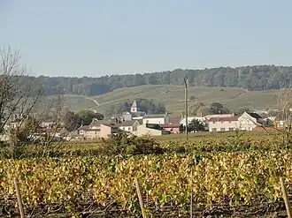 Le Mesnil-sur-Oger