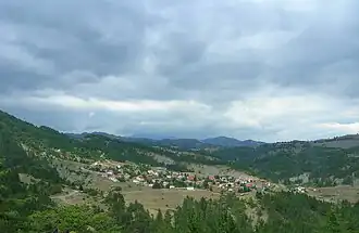 Mesolouri