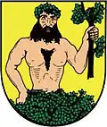 Blason de Město Albrechtice