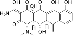 Image illustrative de l’article Métacycline
