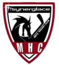 Description de l'image Metz HC.png.