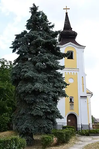Mezőpeterd
