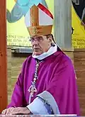 Portrait de Mgr Michel Aupetit