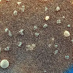 Gros plan sur le sol du cratère Eagle montrant des sphérules plus ou moins régulières sur fond de poussière fine. Le plus gros grain a un diamètre de 3 mm, tandis que l'image elle-même couvre une surface de 3 cm de côté.
