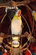 Michael