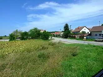Michal na Ostrove