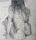 Christiane sur l'herbe, encre de bChine, 50&nbsp;×&nbsp;33&nbsp;cm, 1963