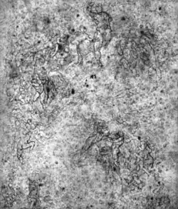 Étude, Casa Buonarroti, 41,8&nbsp;×&nbsp;28,8&nbsp;cm. Le cadre de L'Assomption du Pérugin est encore visible.