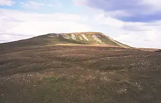 Vue du versant occidental de Mickle Fell.