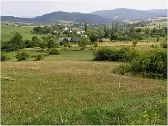 Miková