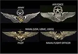 Badges d'astronaute militaires.