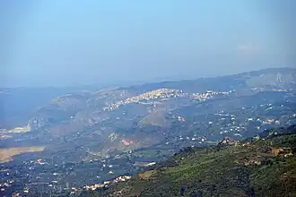 Militello Rosmarino