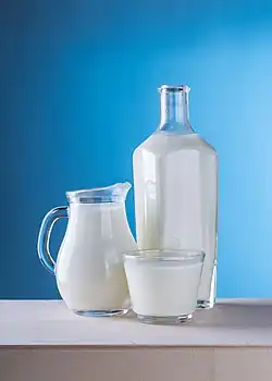 Photographie en couleurs, représentant une bouteille, une carafe et un verre de lait.