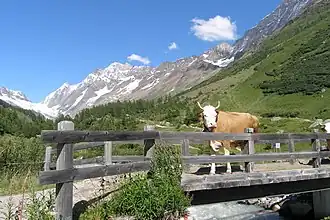 Fafleralp