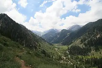 Vallée de Mineral King