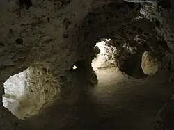 Minières néolithiques de silex de Petit-Spiennes.