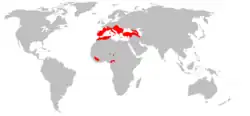 Aire de répartition du Minioptère de Schreibers
