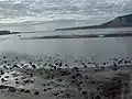 L'estuaire